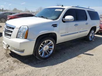  Salvage Cadillac Escalade