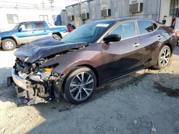  Salvage Nissan Maxima