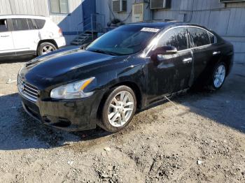  Salvage Nissan Maxima