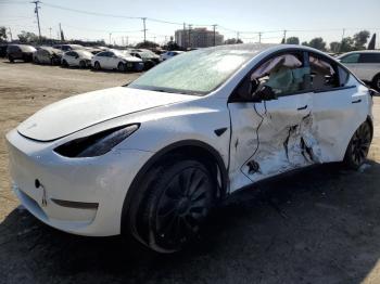  Salvage Tesla Model Y