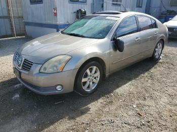  Salvage Nissan Maxima