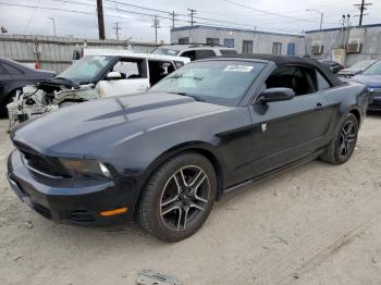  Salvage Ford Mustang