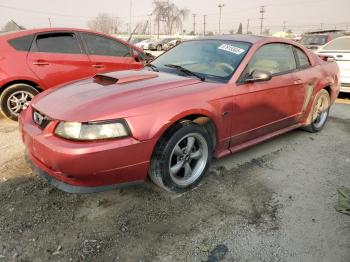  Salvage Ford Mustang