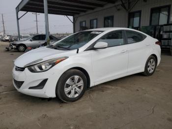  Salvage Hyundai ELANTRA