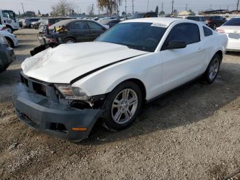  Salvage Ford Mustang