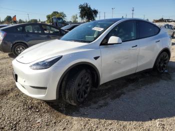  Salvage Tesla Model Y