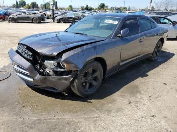  Salvage Dodge Charger