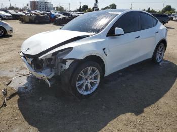  Salvage Tesla Model Y