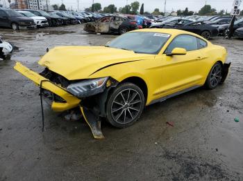  Salvage Ford Mustang