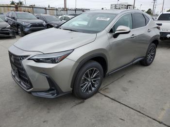  Salvage Lexus NX