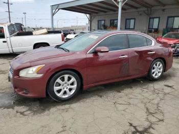  Salvage Nissan Maxima