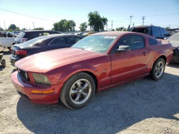  Salvage Ford Mustang
