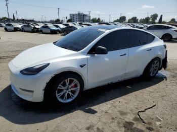 Salvage Tesla Model Y