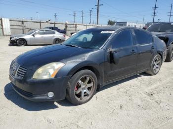 Salvage Nissan Maxima