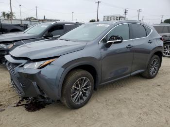  Salvage Lexus NX