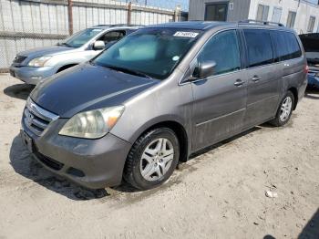  Salvage Hond Odyssey Exl