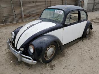 Salvage Volkswagen Beetle