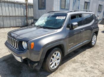  Salvage Jep Renegade