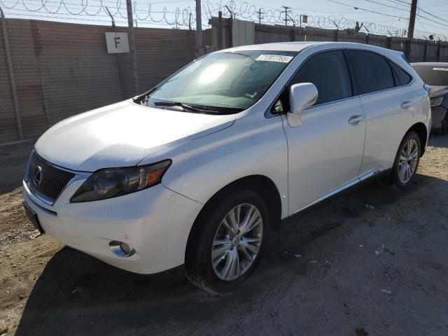  Salvage Lexus RX