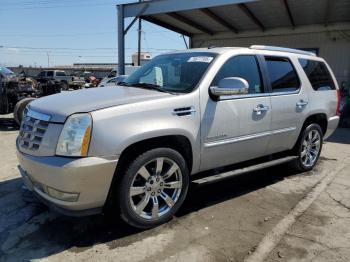  Salvage Cadillac Escalade