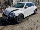 Volkswagen Beetle Image 1