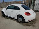 Volkswagen Beetle Image 10