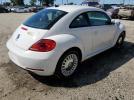 Volkswagen Beetle Image 8