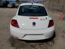 Volkswagen Beetle Image 13