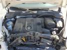 Volkswagen Beetle Image 5