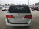 Honda Odyssey Exl Image 6