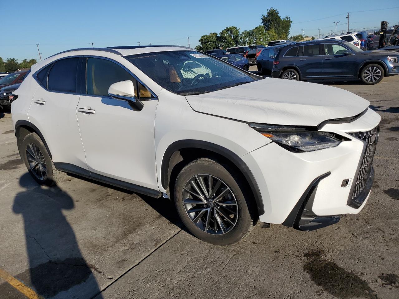 Lexus NX 250 Base Image 13