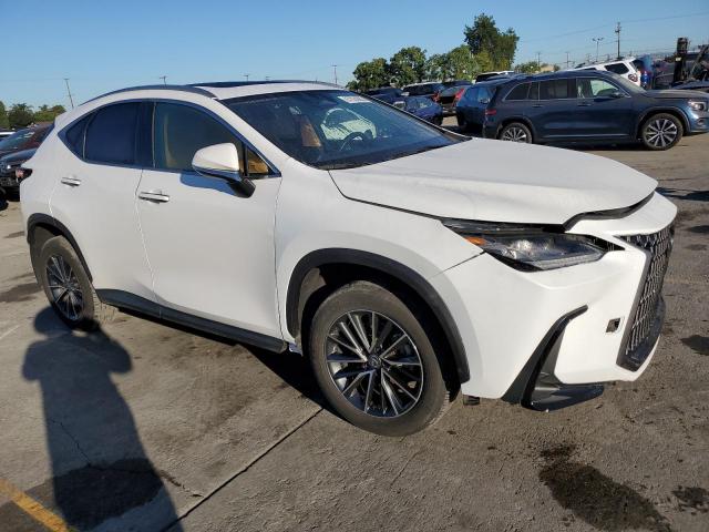 Lexus NX 250 Base Image 13