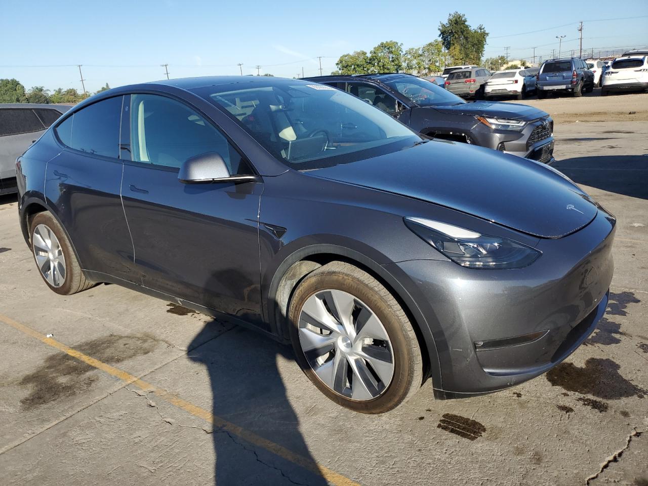Tesla Model Y Image 12