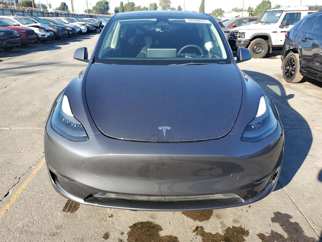 Tesla Model Y Image 3