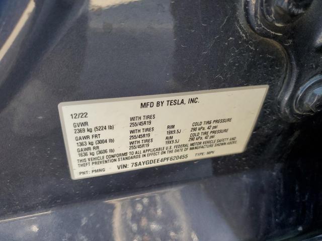 Tesla Model Y Image 13