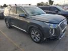 Hyundai PALISADE Sel Image 3