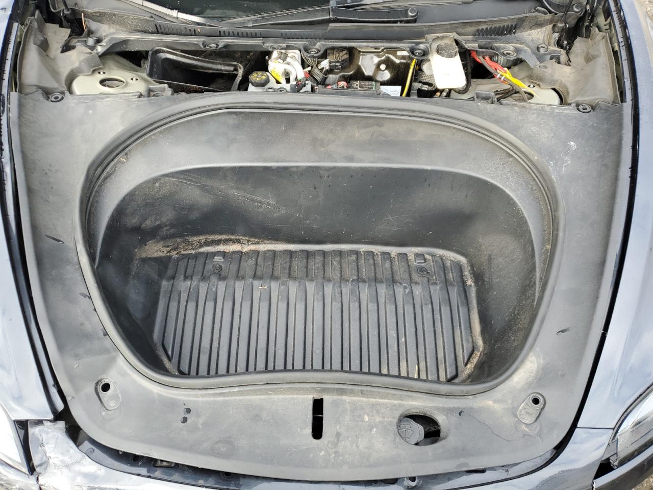 Tesla Model 3 Image 11