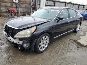  Salvage Hyundai Equus