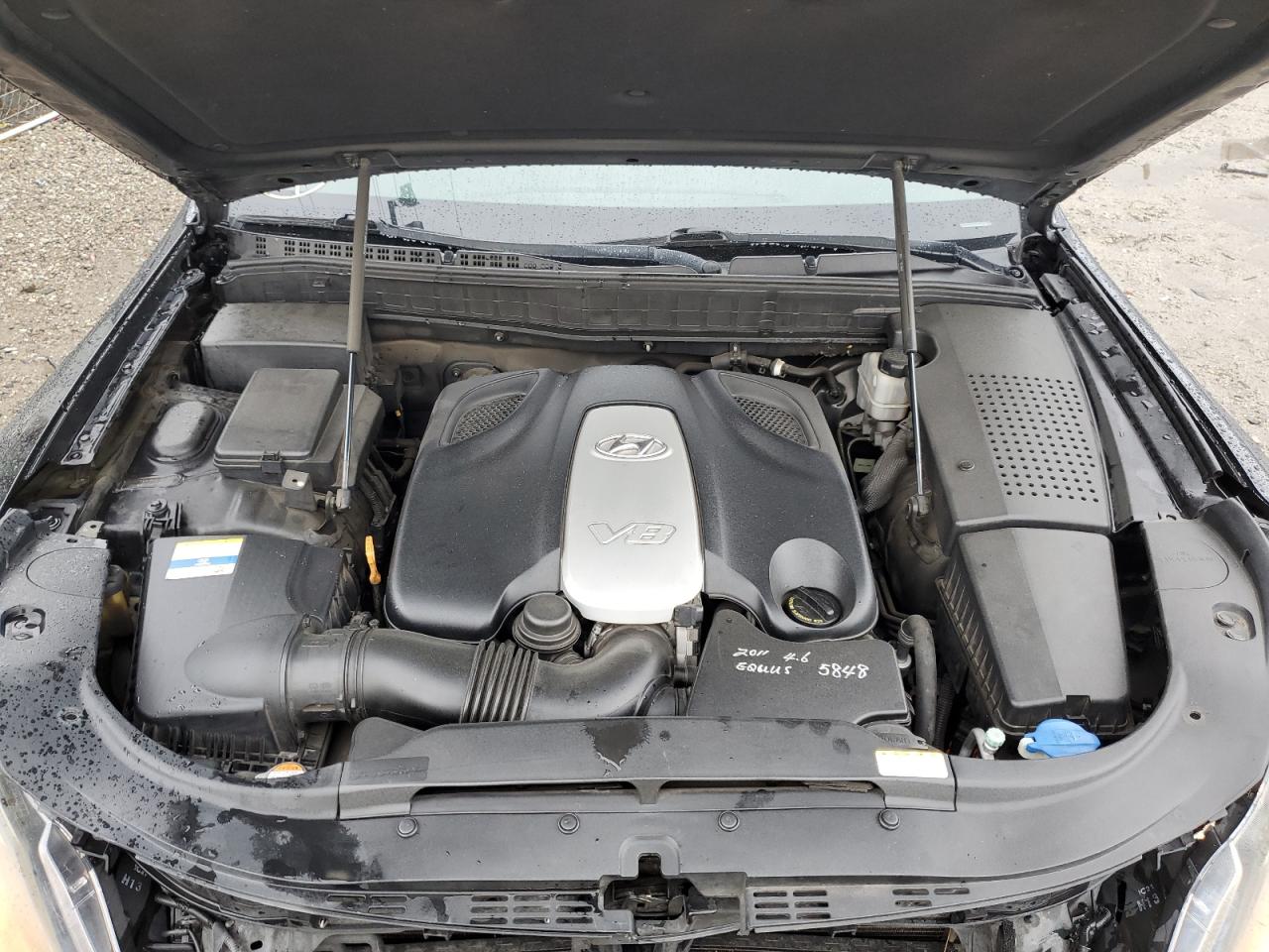 Hyundai Equus Signature Image 2