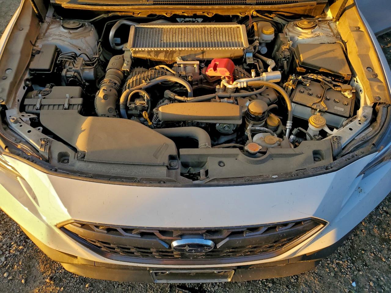 Subaru WRX Premium Image 6