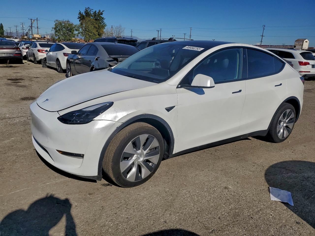Tesla Model Y Image 1