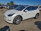 Tesla Model Y Image 1