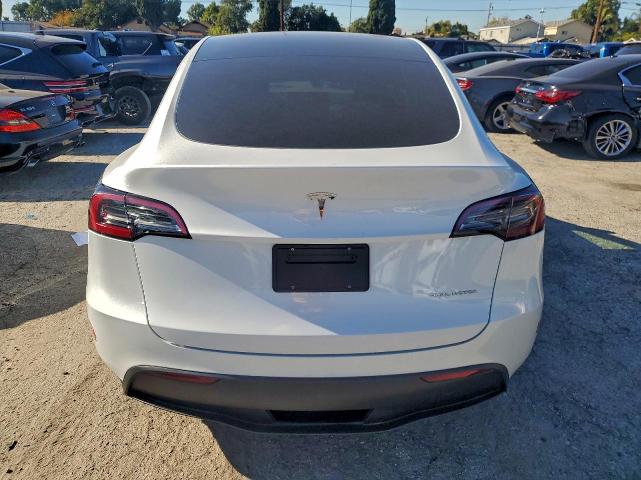 Tesla Model Y Image 3