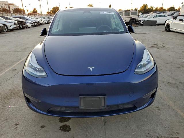 Tesla Model Y Image 3