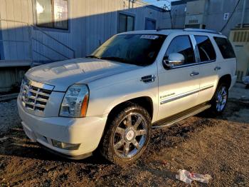  Salvage Cadillac Escalade