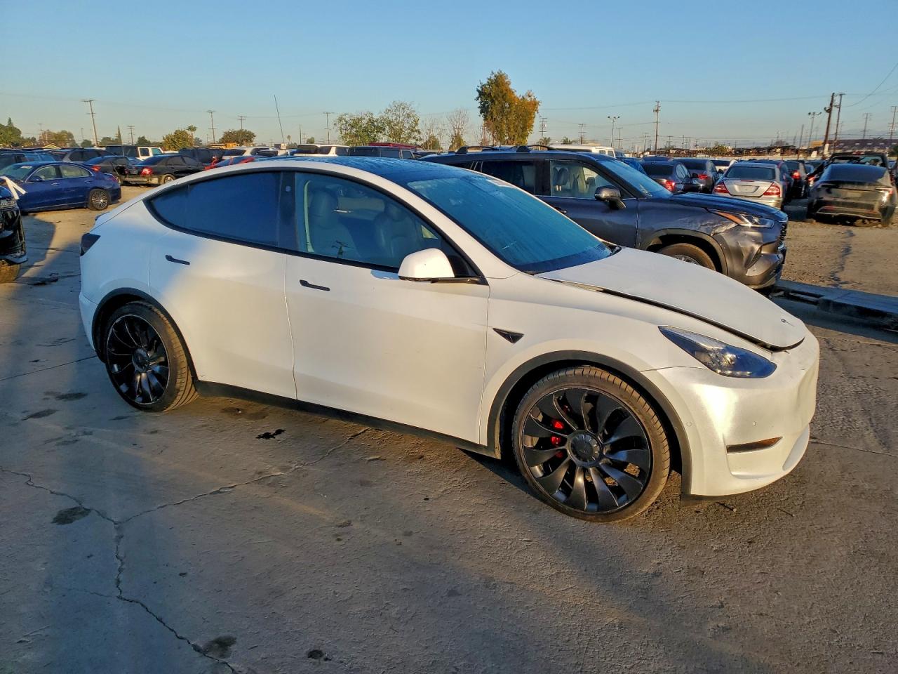 Tesla Model Y Image 3