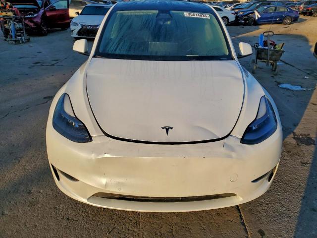 Tesla Model Y Image 5