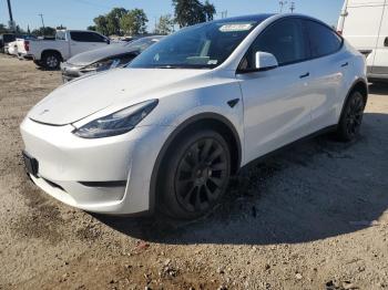  Salvage Tesla Model Y