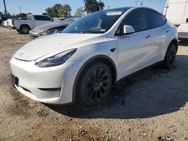  Salvage Tesla Model Y