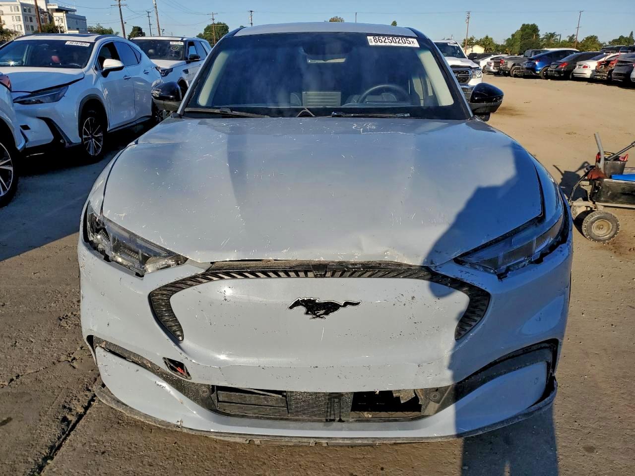 Ford Mustang Select Image 13